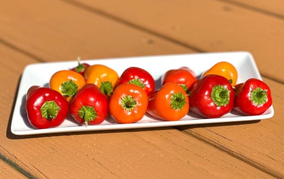 rebol nutrition information pdf