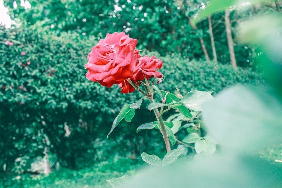 into the rose garden novel pdf